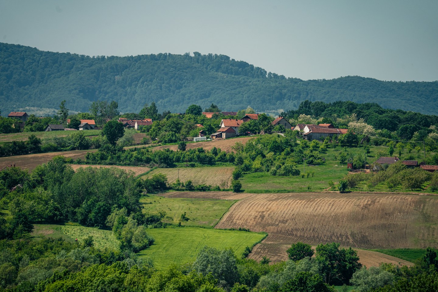 Small village with red roofs nestled among rolling green hills.